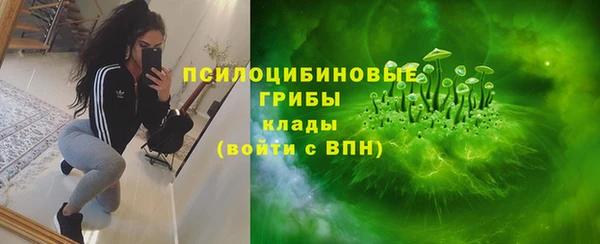 круглые Инсар