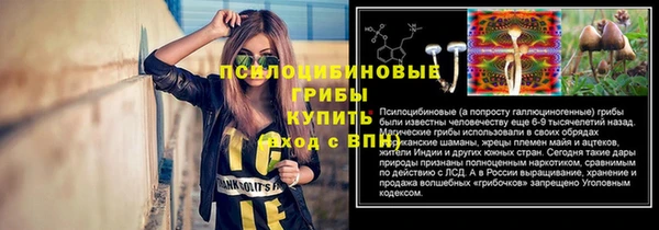 а пвп мука Зеленодольск