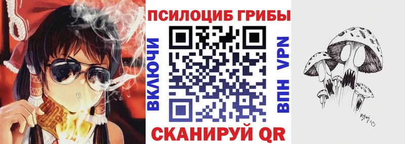 Купить Жуков Галлюциногенные грибы Cubensis